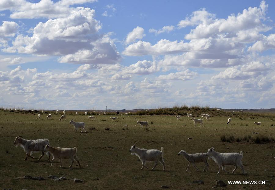 Photo taken on July 15, 2015 shows the scenery of clouds above prairie in Urad Middle Banner of Bayannur City, north China's Inner Mongolia Autonomous Region. 