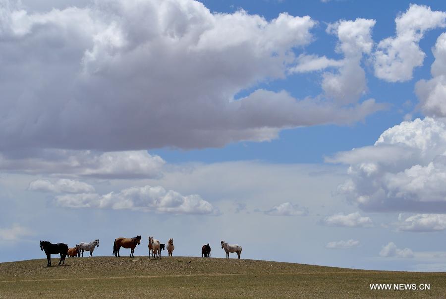 Photo taken on July 15, 2015 shows the scenery of clouds above prairie in Urad Middle Banner of Bayannur City, north China's Inner Mongolia Autonomous Region.