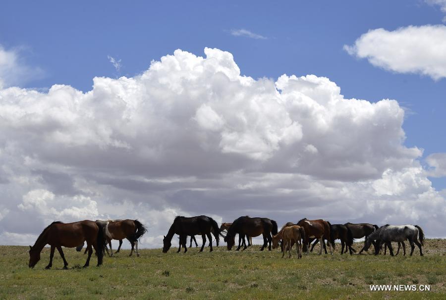 Photo taken on July 15, 2015 shows the scenery of clouds above prairie in Urad Middle Banner of Bayannur City, north China's Inner Mongolia Autonomous Region.