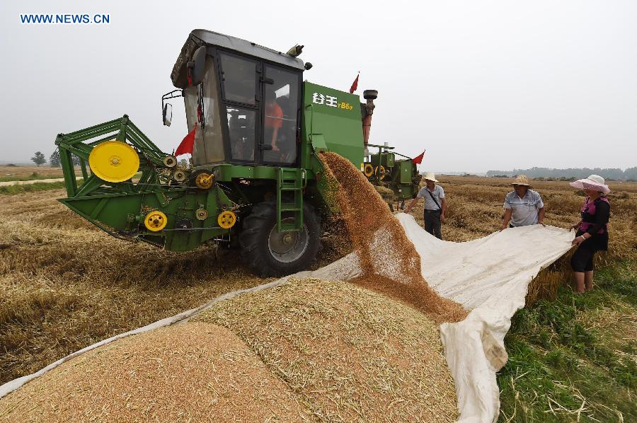 CHINA-HENAN-SUMMER CROPS YIELD-GROWTH (CN)