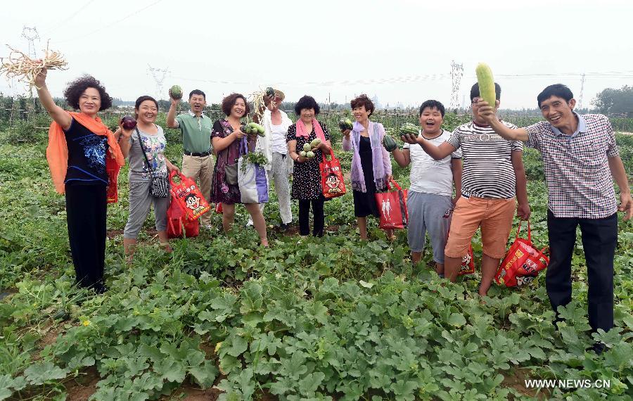 People show fruits and vegetable they picked at a farmland they rent from the local villager in Xincun Village of Bazhou City, north China's Hebei Province, July 16, 2015. 