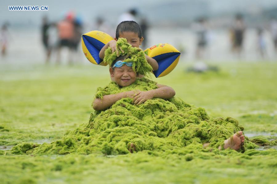 #CHINA-QINGDAO-GREEN ALGAE (CN) 