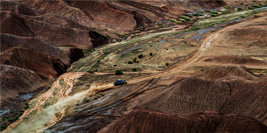 Rally call of nature