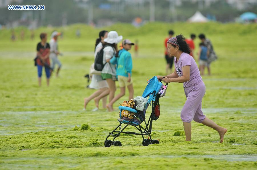 #CHINA-QINGDAO-GREEN ALGAE (CN) 