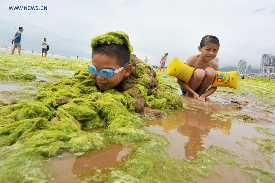 #CHINA-QINGDAO-GREEN ALGAE (CN) 