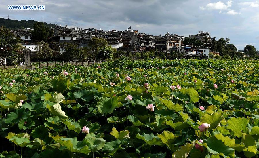 CHINA-YUNNAN-HESHUN ANCIENT TOWN (CN) 