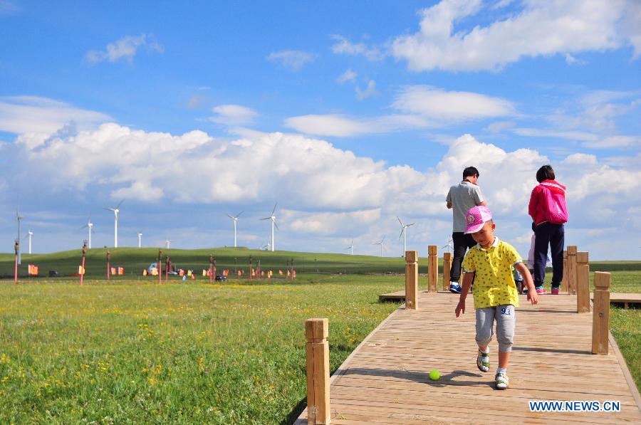 Tourists enjoy the scenery of the grassland near Ulanqab City, north China's Inner Mongolia Autonomous Region, July 24, 2015. 