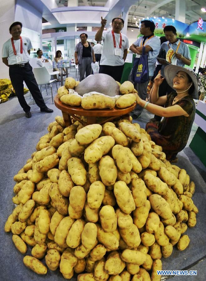 An exhibitor displays her potatoes during the China Potato Expo in Yanqing County of Beijing, capital of China, July 28, 2015. A total of 196 enterprises of potato industry from 11 countries and regions took part in the two-day expo where food, pesticides, machines and seedlings for potato planting are on display. (Xinhua/Li Xin)