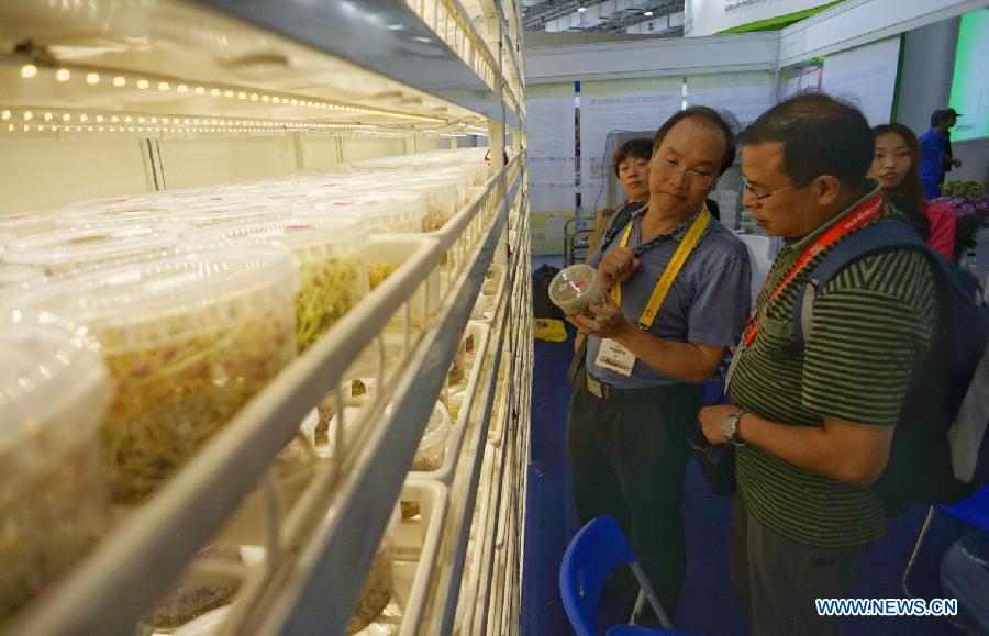 Visitors look at potato cultivation demonstration during the China Potato Expo in Yanqing County of Beijing, capital of China, July 28, 2015. A total of 196 enterprises of potato industry from 11 countries and regions took part in the two-day expo where food, pesticides, machines and seedlings for potato planting are on display. (Xinhua/Li Xin) 