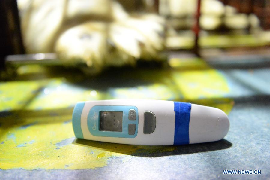 A body temperature measurer for polar bears is seen at a polarland in Harbin, capital of northeast China's Heilongjiang Province, July 30, 2015. 