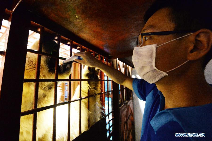 Polar bear trainer Dong Baoying measures the body temperature for a polar bear at a polarland in Harbin, capital of northeast China's Heilongjiang Province, July 30, 2015. 