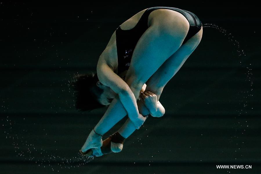 (SP)RUSSIA-KAZAN-FINA-WORLD CHAMPIONSHIPS-DIVING