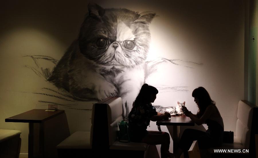A customer feeds a cat in a cafe themed on cats in Shenyang, capital of northeast China's Liaoning Province, Aug. 5, 2015.