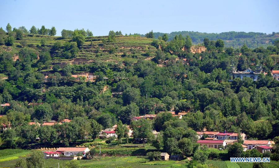 A forest covers a village in Jingyuan County, northwest China's Ningxia Hui Autonomous Region, Aug. 6, 2015.