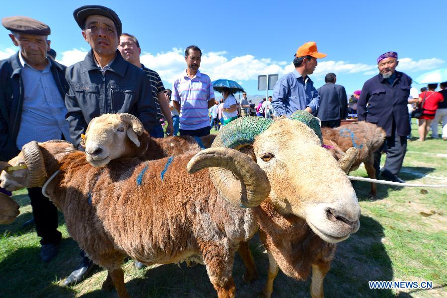 #CHINA-XINJIANG-HAMI-GOAT FAIR (CN)