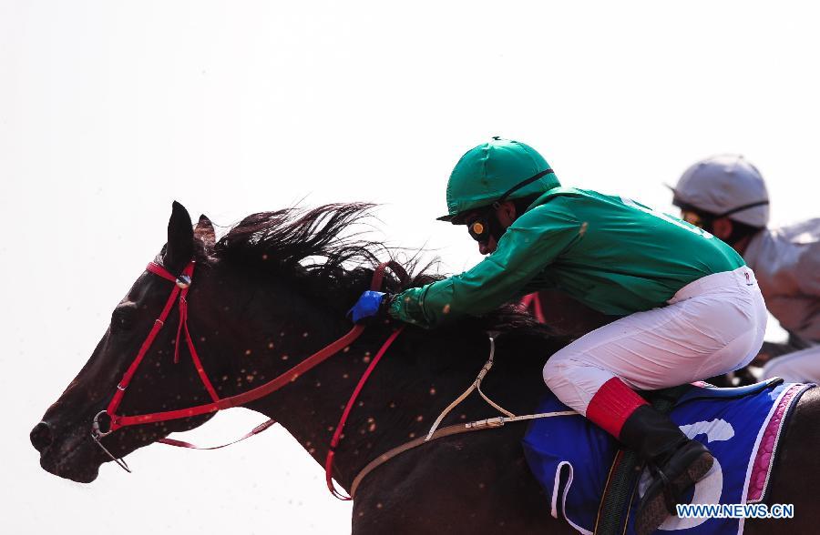 (SP)CHINA-ORDOS-NATIONAL ETHNIC GAMES-HORSE RACING(CN)