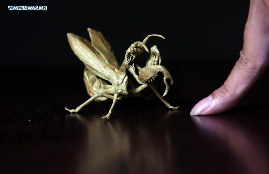 Qin Kun shows his origami works in the pattern of mantis in Guilin, south China's Guangxi Zhuang Autonomous Region, Sept. 6, 2015.