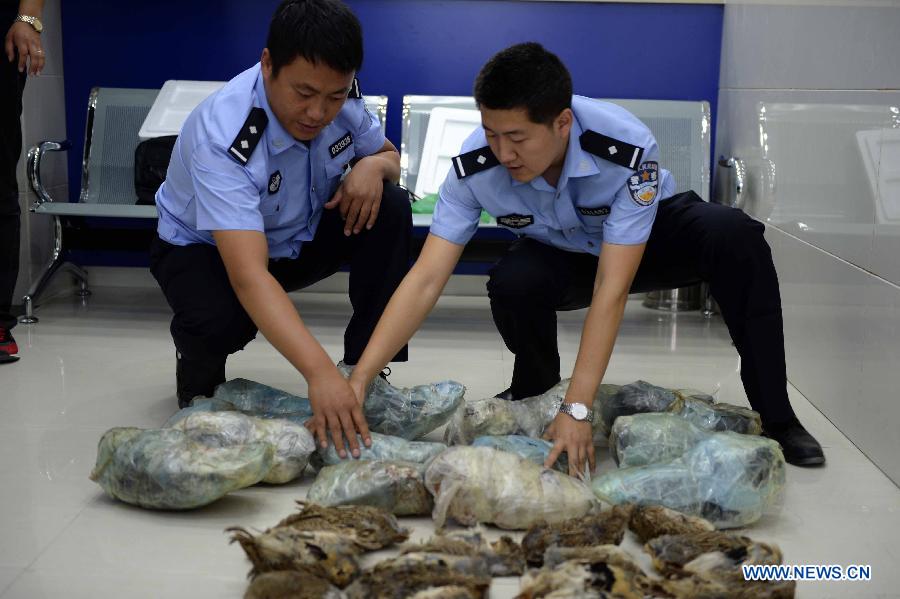 CHINA-QIQIHAER-WILD ANIMAL TRAFFICKING-SEIZURE (CN)