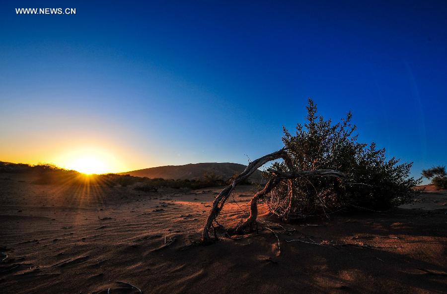 Photo taken on Sept. 22, 2015 shows the scenery of Badain Jaran Desert at sunrise in Araxan of north China's Inner Mongolia Autonomous Region. 