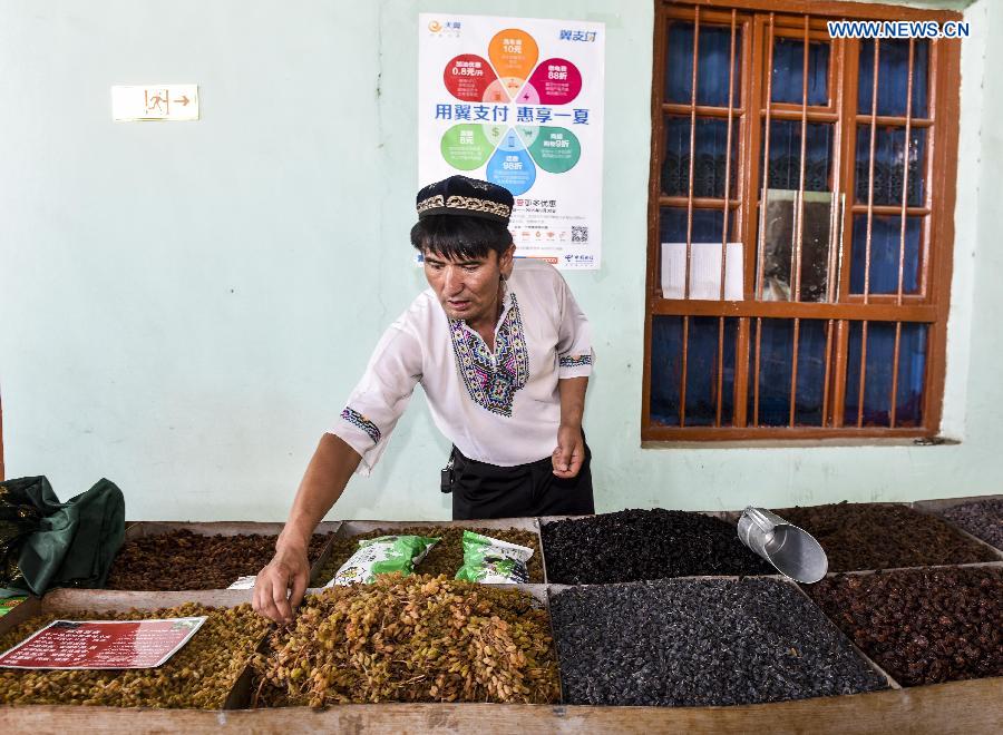 Pataer Keyimu collects dried grapes at home in the Grape Valley of Turpan, northwest China's Xinjiang Uygur Autonomous Region, Sept. 6, 2015. 