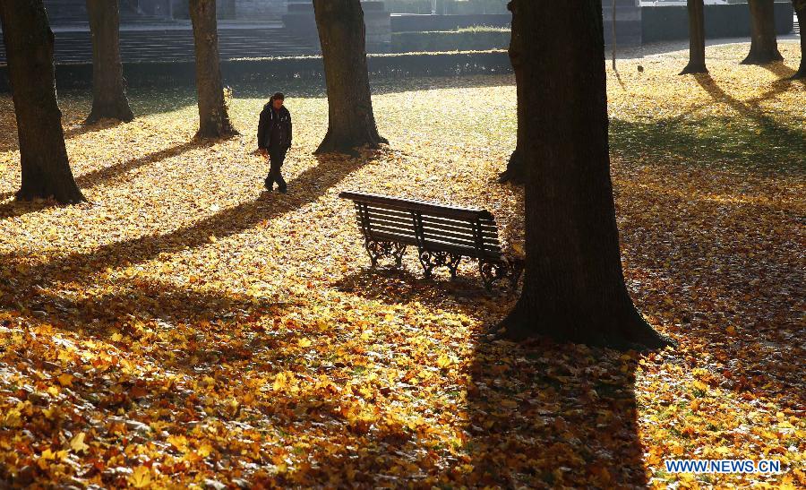 A man walks at a park in Brussels, Belgium, Oct. 30, 2015. 