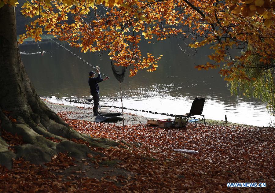 A man fishes at a park in Brussels, Belgium, Oct. 30, 2015.