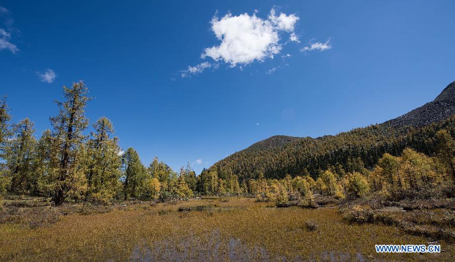 CHINA-SICHUAN-LANDSCAPE(CN)