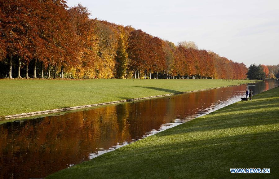 Two women play with dogs at a park in Brussels, Belgium, Oct. 30, 2015.