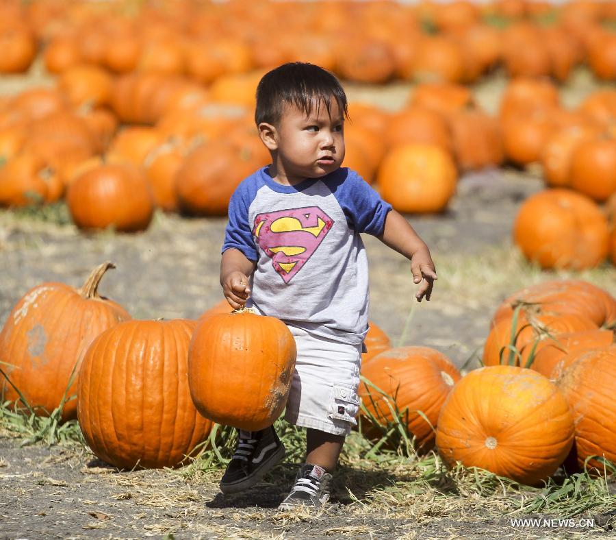 WEEKLY CHOICES OF XINHUA PHOTO