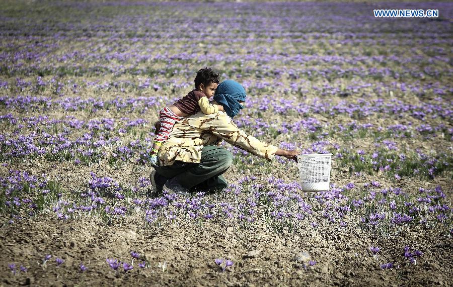 WEEKLY CHOICES OF XINHUA PHOTO