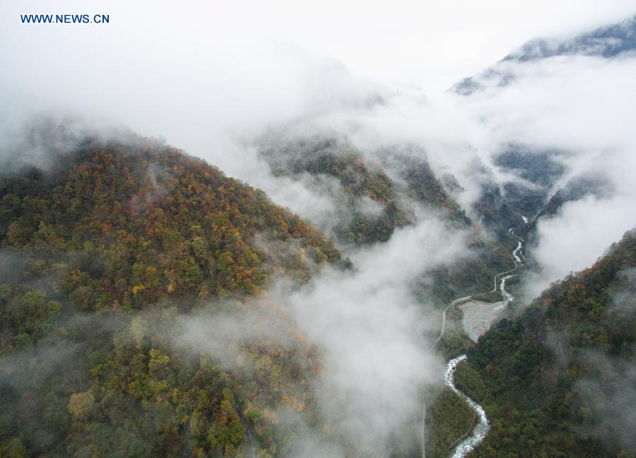 CHINA-SICHUAN-BAOXING-SCENERY (CN)