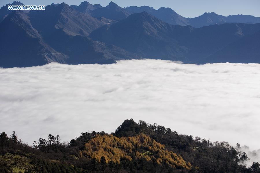 CHINA-SICHUAN-BAOXING-SCENERY (CN)