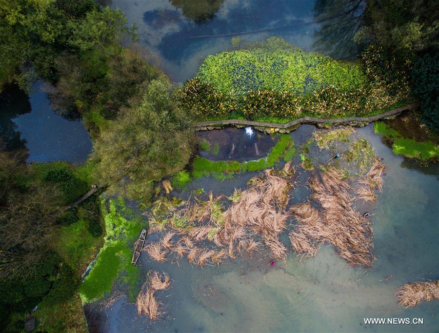 CHINA-HANGZHOU-AUTUMN SCENERY(CN)