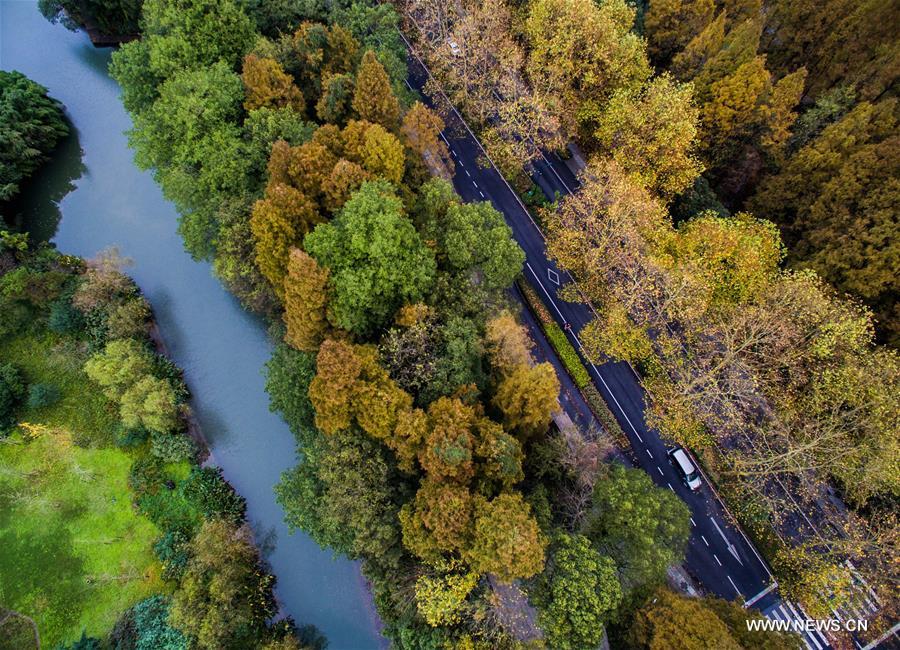 CHINA-HANGZHOU-AUTUMN SCENERY(CN)