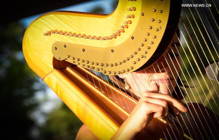 A performer plays with the harp at the outskirts of Johannesburg, South Africa, on Nov. 29, 2015. 