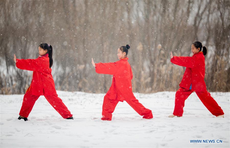 Pupils practise Taichi, a Chinese martial art, in snow in Hohhot, capital of north China's Inner Mongolia Autonomous Region, Dec. 1, 2015. 