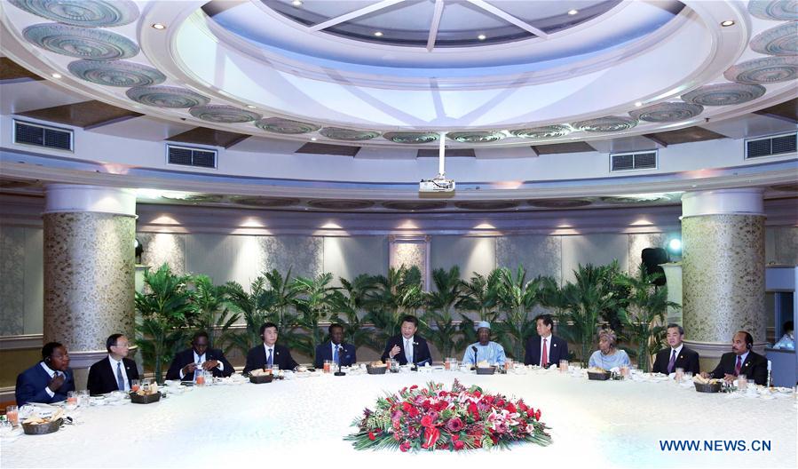 Chinese President Xi Jinping (6th L) holds a group meeting with leaders of 17 African countries, in Johannesburg, South Africa, Dec. 5, 2015.