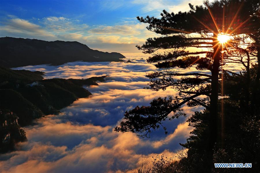 Photo taken on Dec. 6, 2015 shows the scenery of Lushan Mountain after a snowfall in Jiujiang, east China's Jiangxi Province. 