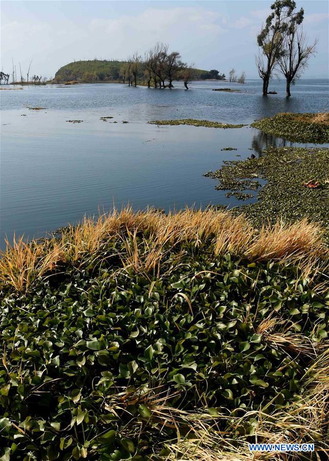 Photo taken on Dec. 9, 2015 shows a scene of the Erhai Lake in Dali Bai Autonomous Prefecture, southwest China's Yunnan Province. 