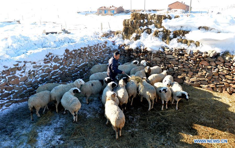 CHINA-INNER MONGOLIA-XILINGOL-SNOW (CN)