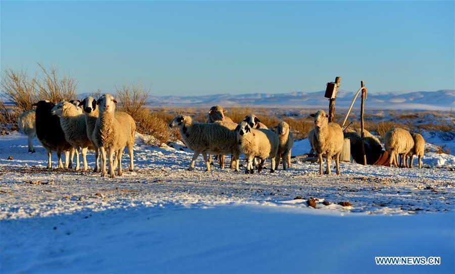 CHINA-INNER MONGOLIA-XILINGOL-SNOW (CN)