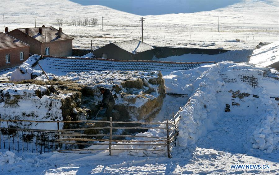 CHINA-INNER MONGOLIA-XILINGOL-SNOW (CN)