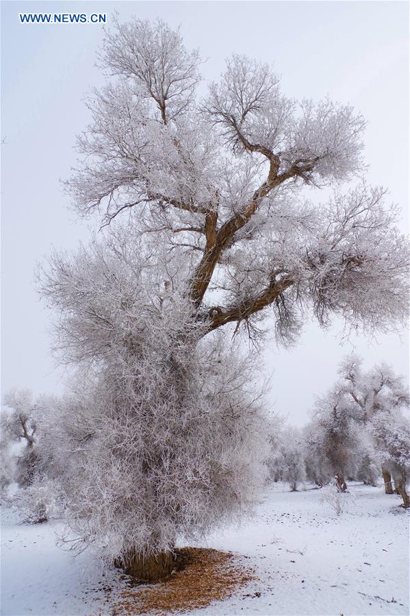 #CHINA-XINJIANG-RIME SCENERY (CN)