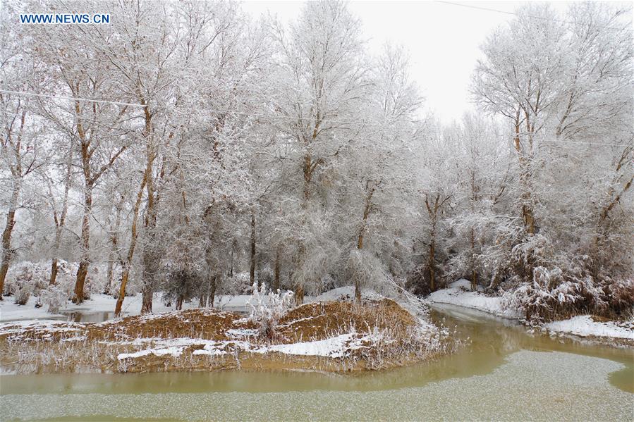 #CHINA-XINJIANG-RIME SCENERY (CN)