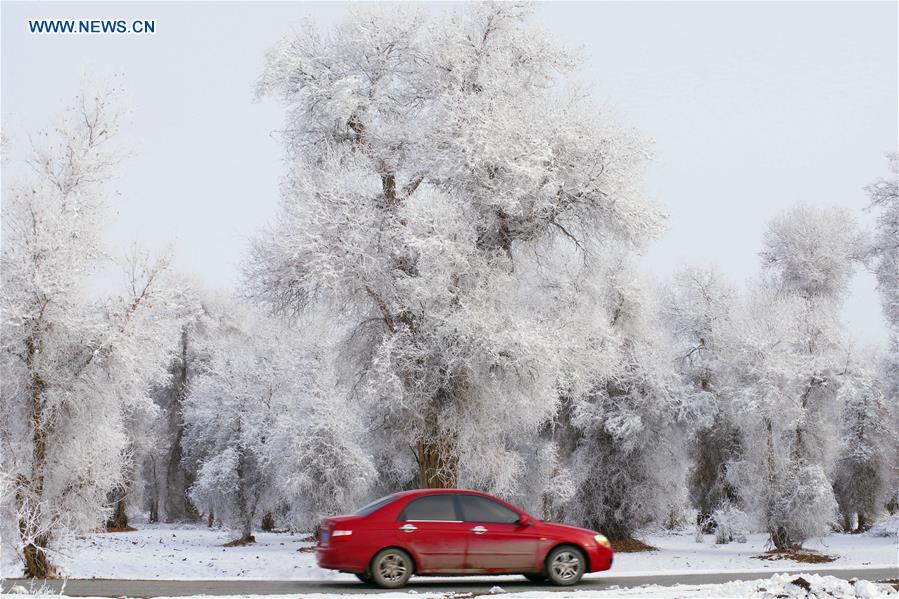 #CHINA-XINJIANG-RIME SCENERY (CN)