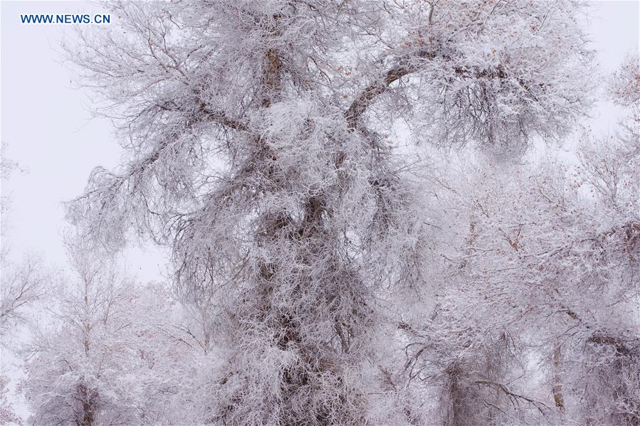 #CHINA-XINJIANG-RIME SCENERY (CN)