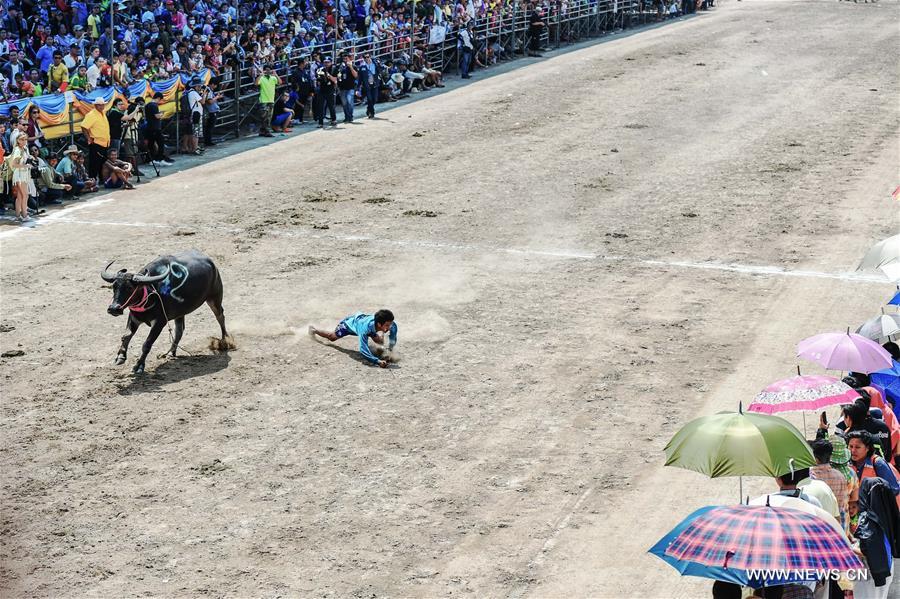 XINHUA WORLD PHOTOS OF THE YEAR