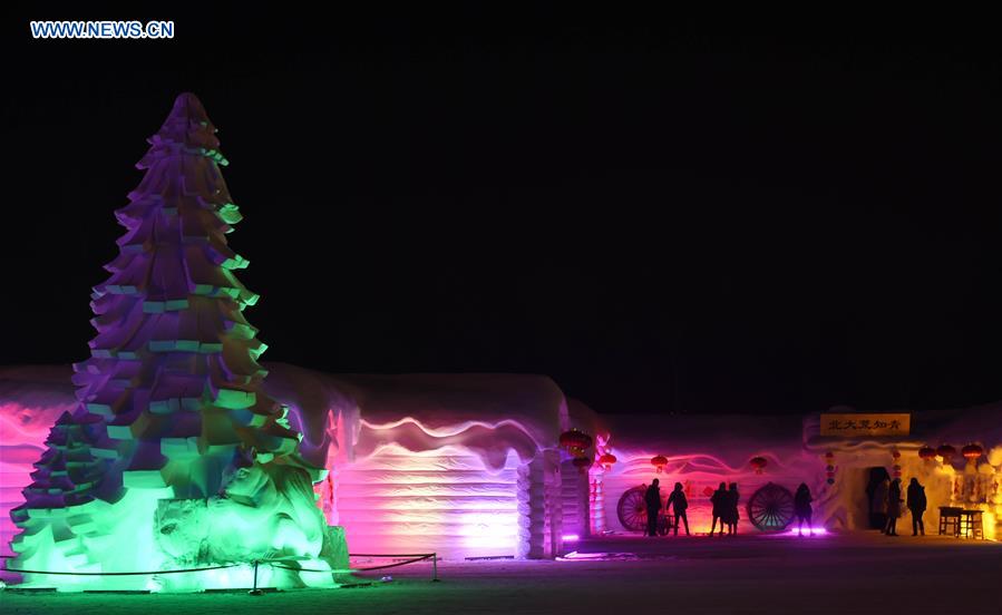 CHINA-HARBIN-SNOW EXPO-NIGHT VIEW (CN)