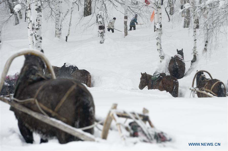 CHINA-XINJIANG-KANAS-SNOW (CN)