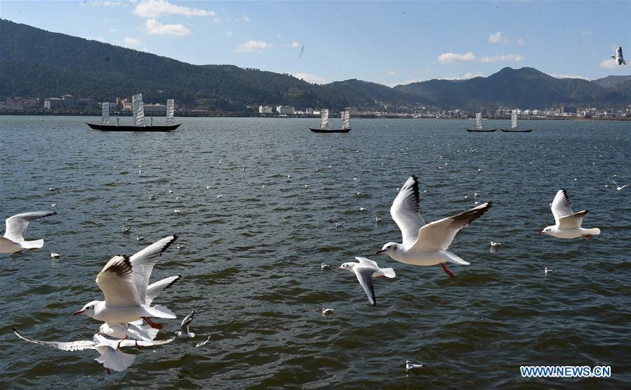 CHINA-KUNMING-DIANCHI LAKE-SCENERY(CN)